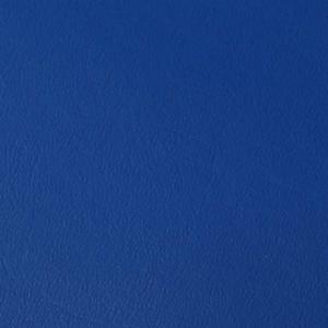 Blue Vinyl